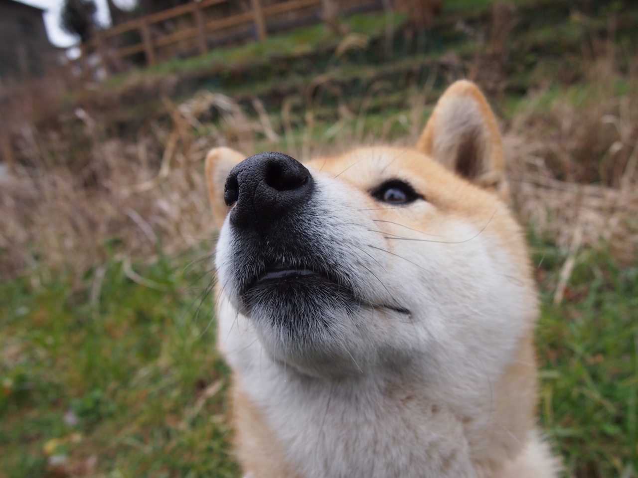 fb体育电脑版-观众期待！新兴技术将在未来赛场亮相，2020新兴科技