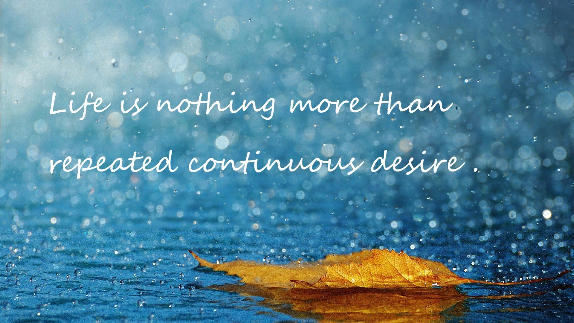 fb体育官网首页-北京首钢客场击败福建，连胜达到七场，北京首钢客场击败福建,连胜达到七场