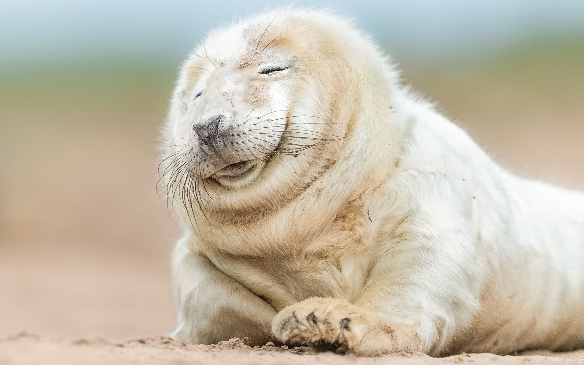 fb体育网页版-国足备战世界杯，阵容深度不断增强，国足进军世界杯规则