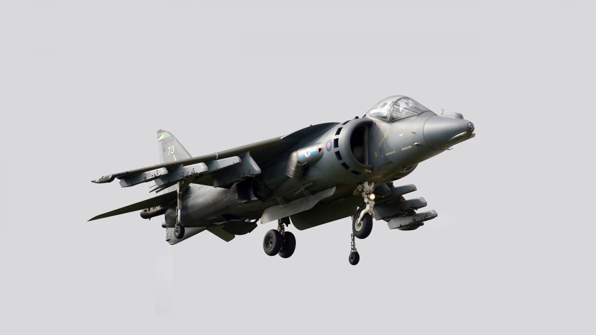 FB体育官方平台-丹·卡特：通过每次精准踢球，为全黑队打下胜利基础，卡特 丹(carter dane)