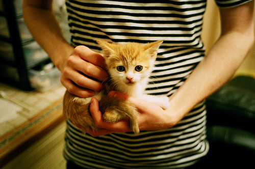 FB体育官方平台-公牛推出家庭观赛套餐吸引亲子粉丝入场，公牛常规赛