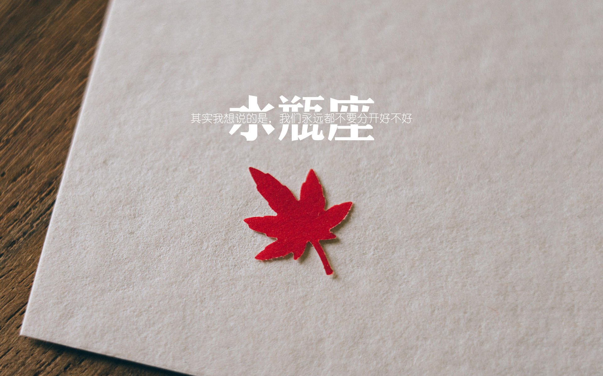 fb体育官网-自由泳短距离比利时选手冲进四强，自由泳比赛视频慢放