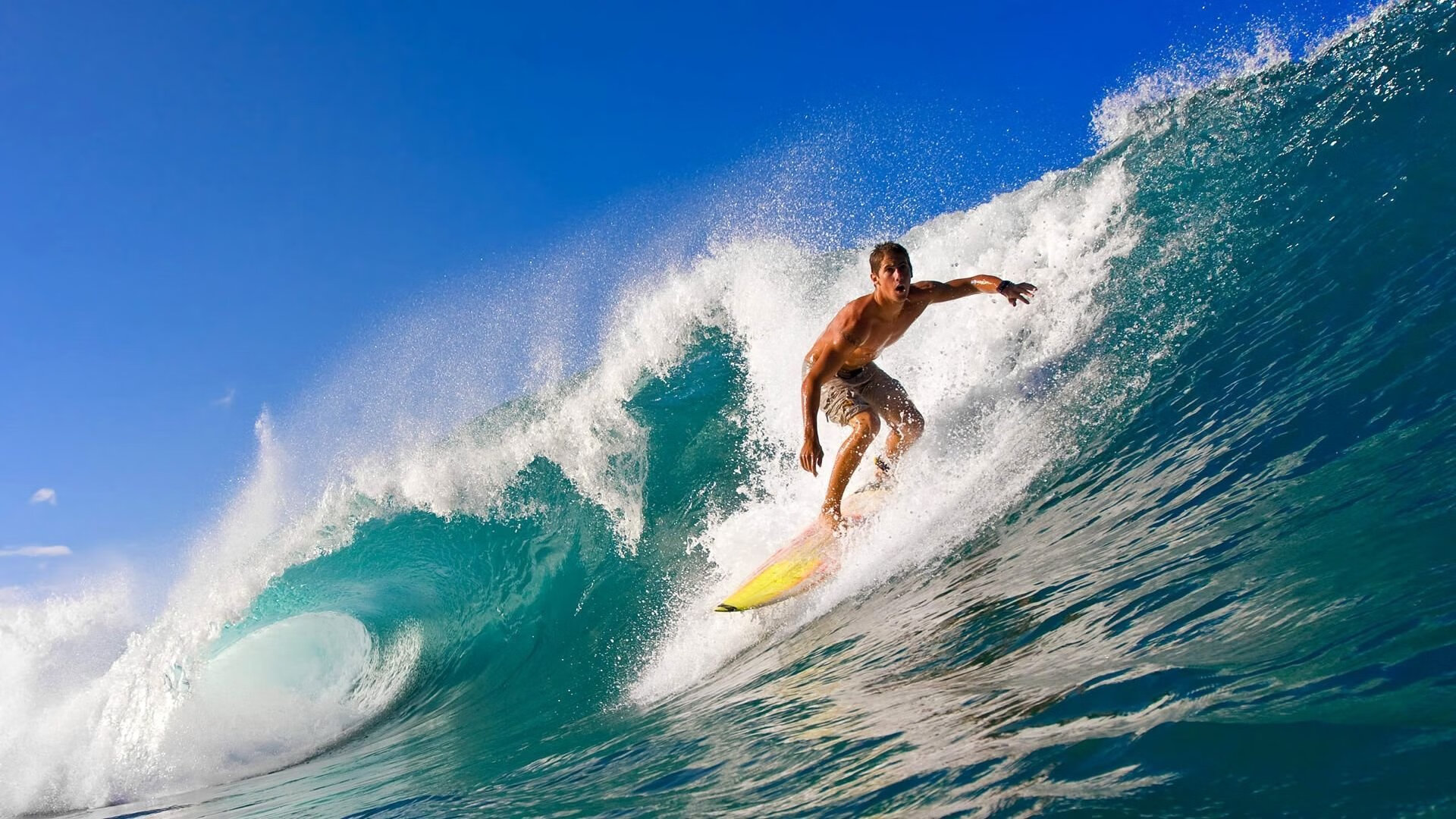 fb体育官网-史上最精彩的“决赛回忆”瞬间集锦，决赛情况